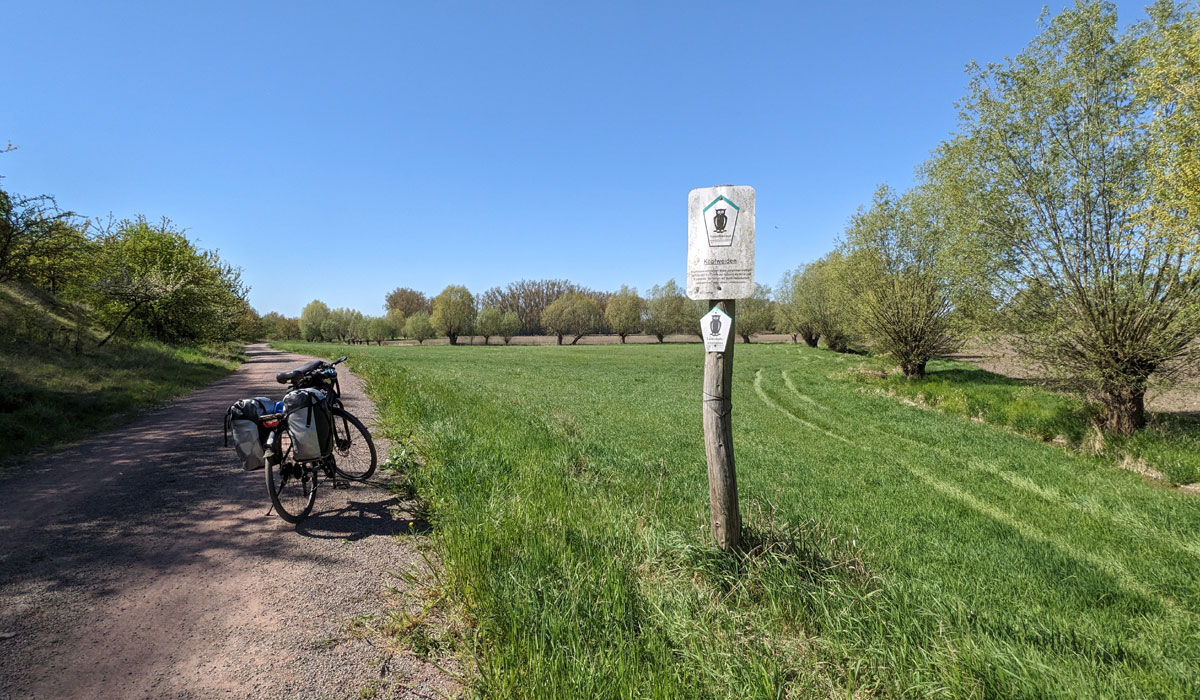 Boderadweg vor Wedderstedt mit Kopfweiden